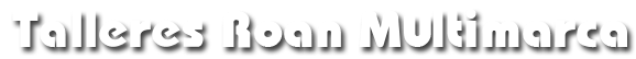 Talleres Roan Multimarca logo